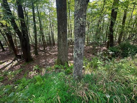 51 Beebalm Court Terra Alta WV 26764
