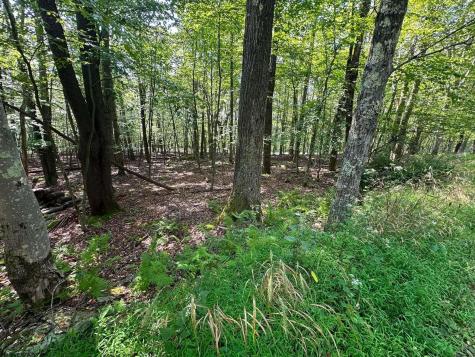 51 Beebalm Court Terra Alta WV 26764