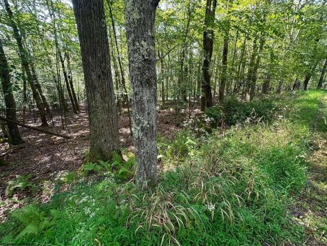 51 Beebalm Court Terra Alta WV 26764