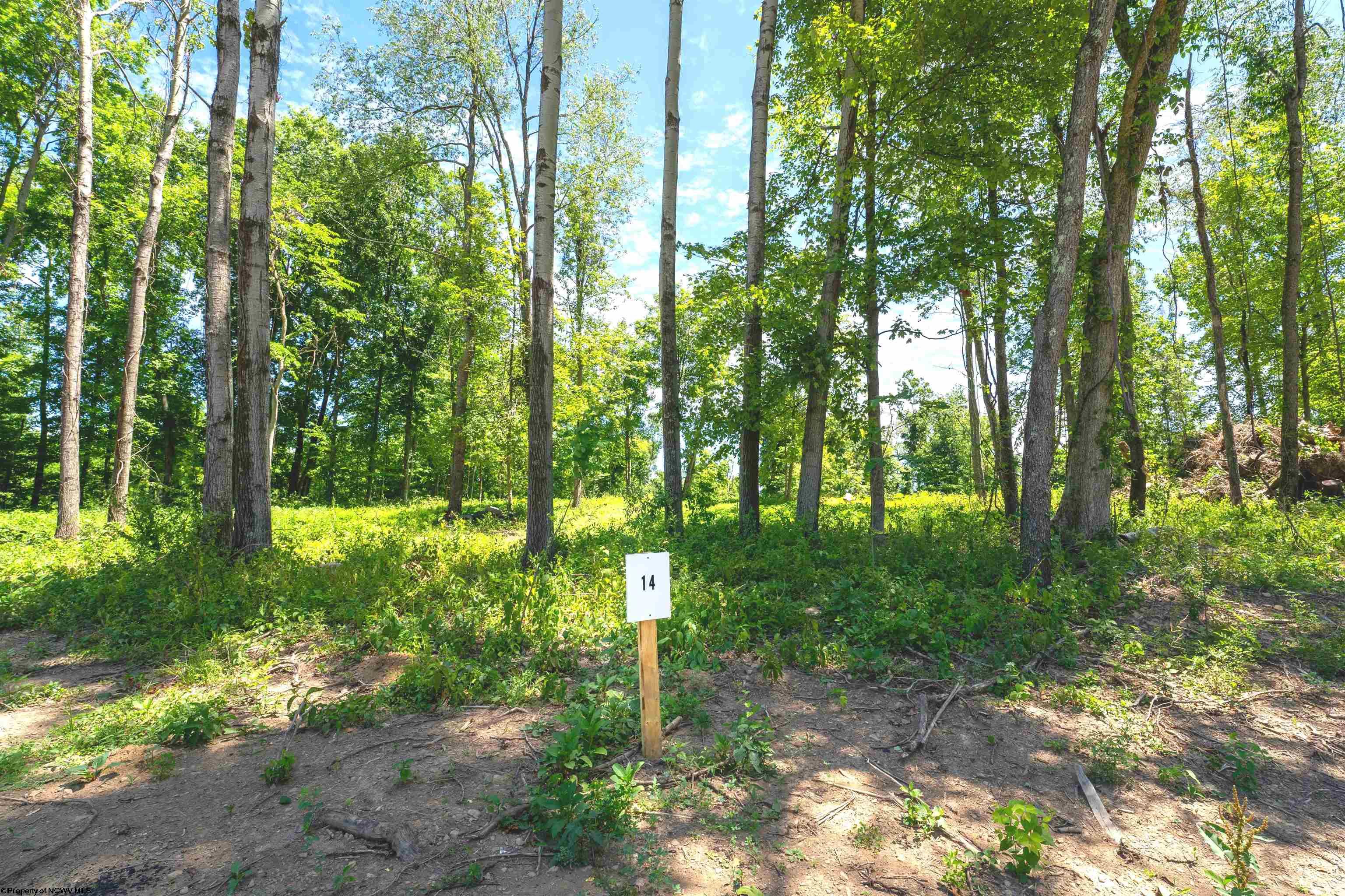 14 Bowers Lane Morgantown WV 26508