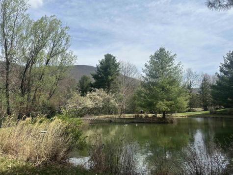 2 Bonner Mountain Road Red Creek WV 26263