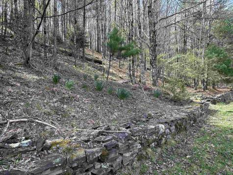 2 Bonner Mountain Road Red Creek WV 26263