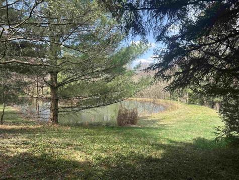 2 Bonner Mountain Road Red Creek WV 26263