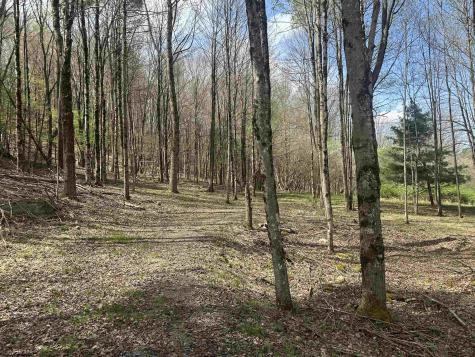 2 Bonner Mountain Road Red Creek WV 26263