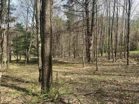 2 Bonner Mountain Road Red Creek WV 26263