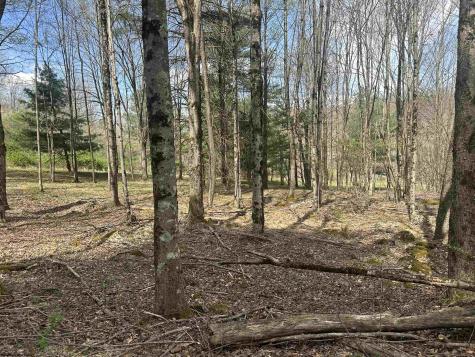 2 Bonner Mountain Road Red Creek WV 26263
