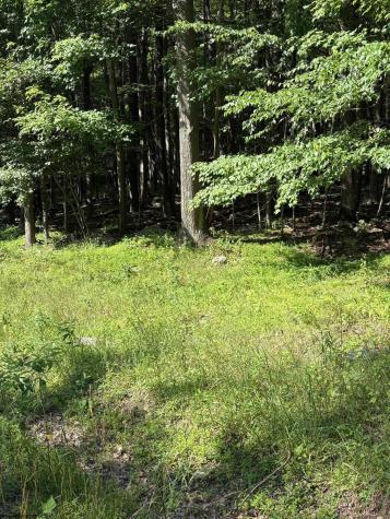 34 E Alpine Drive Terra Alta WV 26764