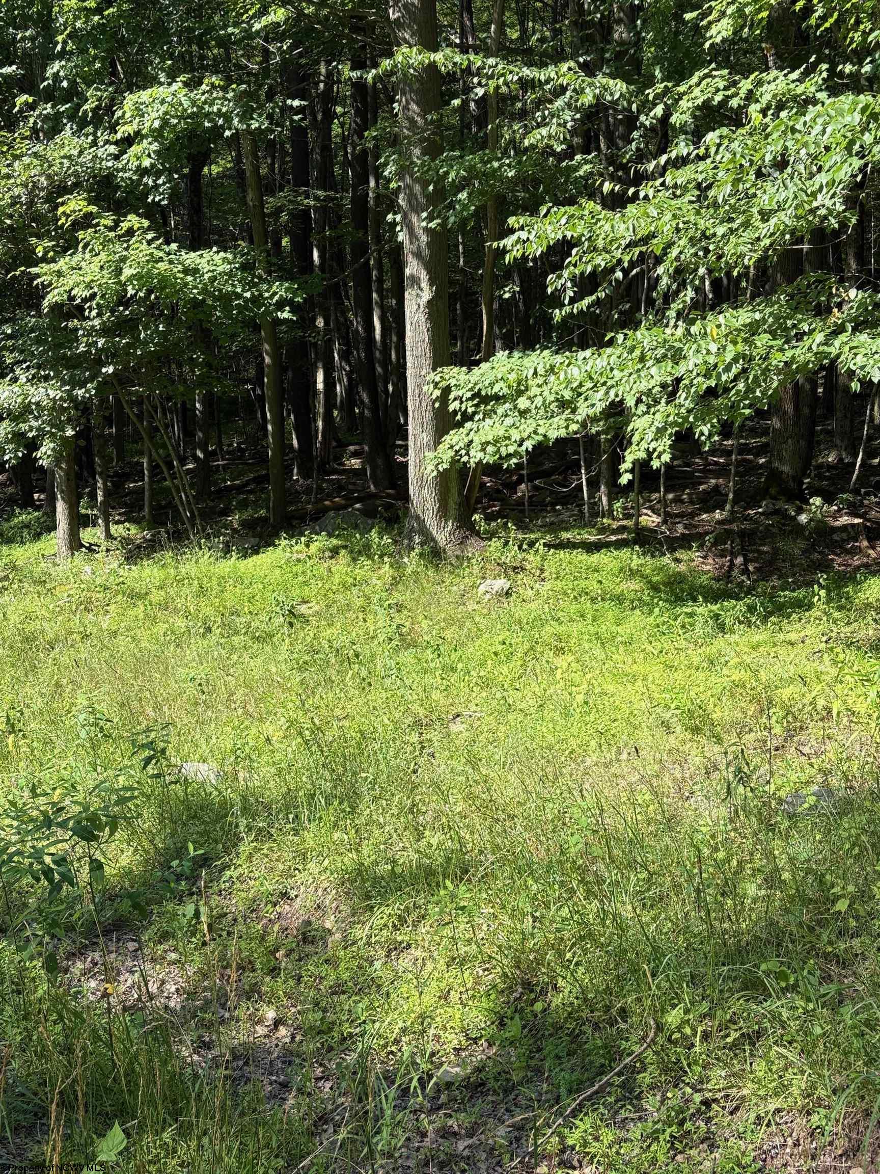 34 E Alpine Drive Terra Alta WV 26764