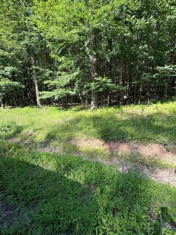 34 E Alpine Drive Terra Alta WV 26764