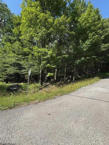 34 E Alpine Drive Terra Alta WV 26764