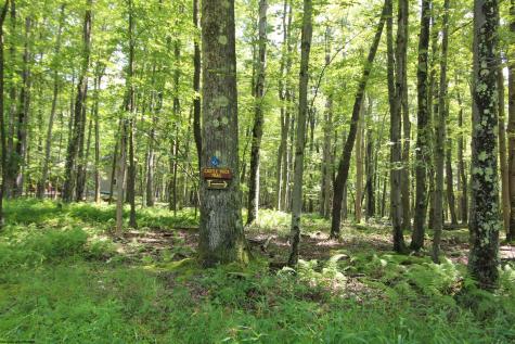 34 E Alpine Drive Terra Alta WV 26764