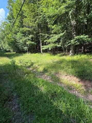 34 E Alpine Drive Terra Alta WV 26764