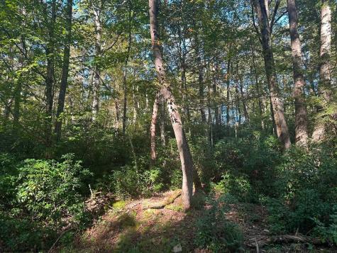 172 Dogwood Drive Terra Alta WV 26764