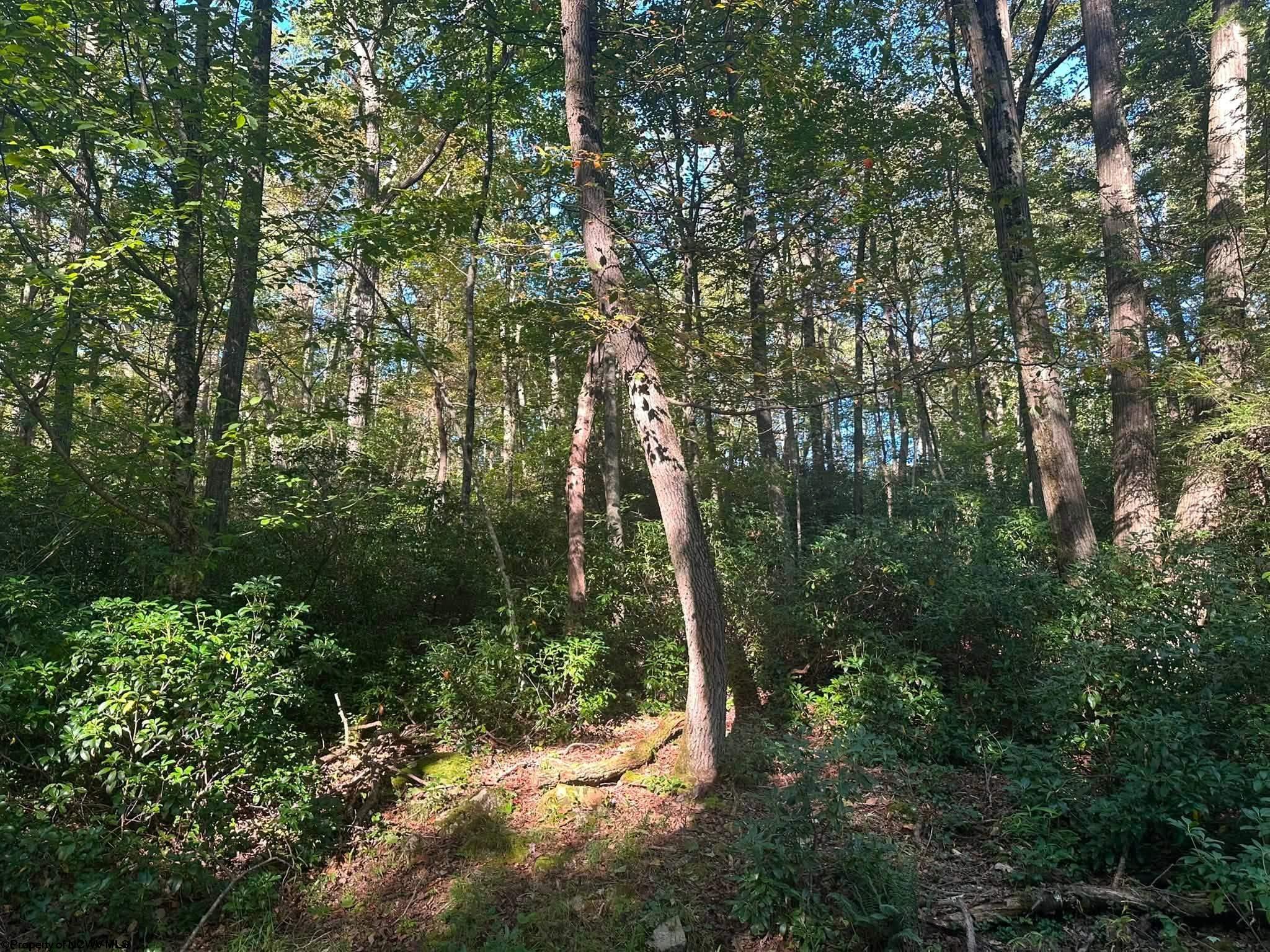 172 Dogwood Drive Terra Alta WV 26764