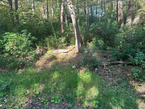172 Dogwood Drive Terra Alta WV 26764