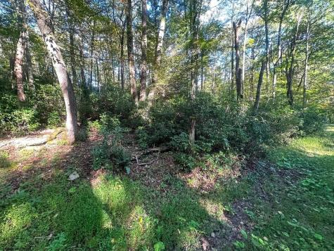 172 Dogwood Drive Terra Alta WV 26764