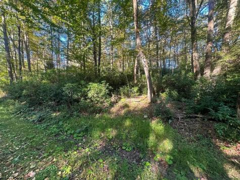 172 Dogwood Drive Terra Alta WV 26764