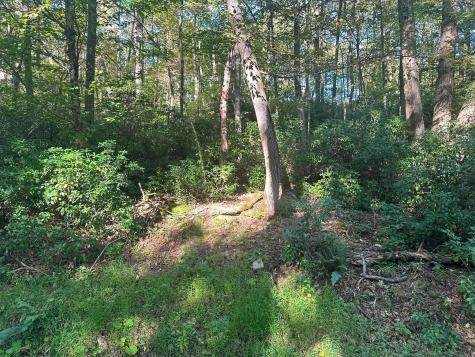 172 Dogwood Drive Terra Alta WV 26764