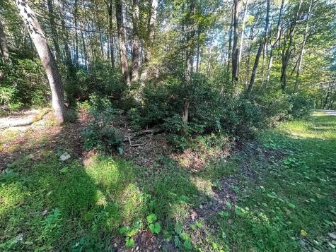 172 Dogwood Drive Terra Alta WV 26764