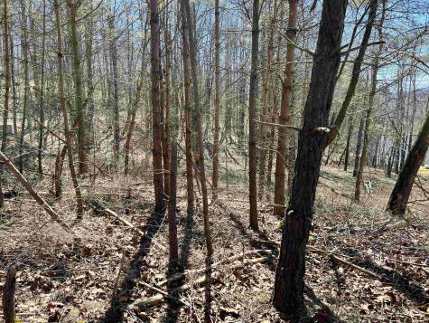 0 Red Oak Lane Elkins WV 26241