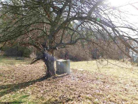 0 Red Oak Lane Elkins WV 26241