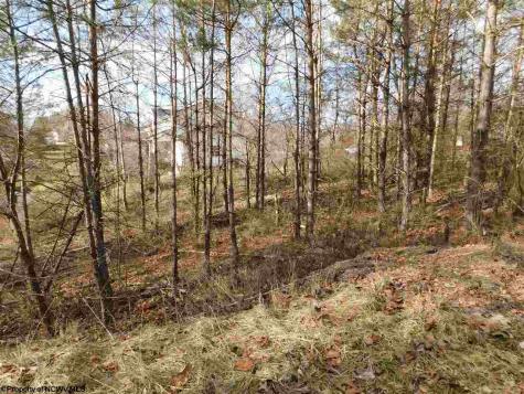 0 Red Oak Lane Elkins WV 26241