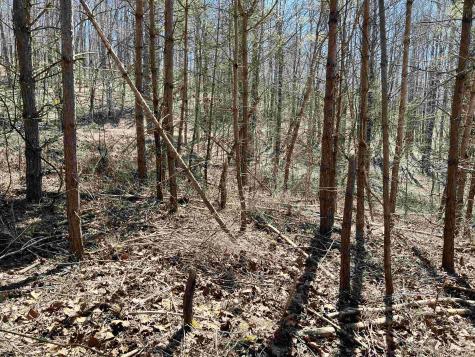 0 Red Oak Lane Elkins WV 26241