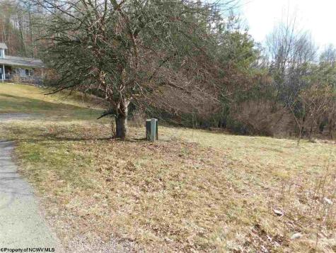 0 Red Oak Lane Elkins WV 26241