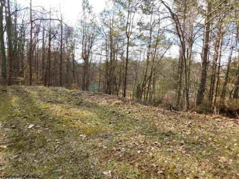 0 Red Oak Lane Elkins WV 26241