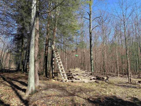 53 Riverstone Landing Bruceton Mills WV 26525