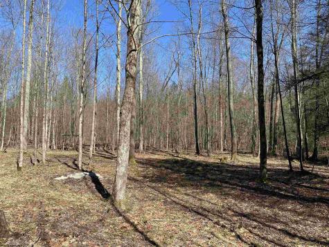 53 Riverstone Landing Bruceton Mills WV 26525