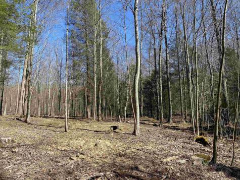 53 Riverstone Landing Bruceton Mills WV 26525
