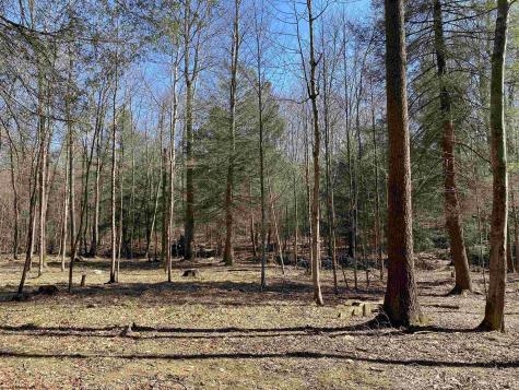 53 Riverstone Landing Bruceton Mills WV 26525