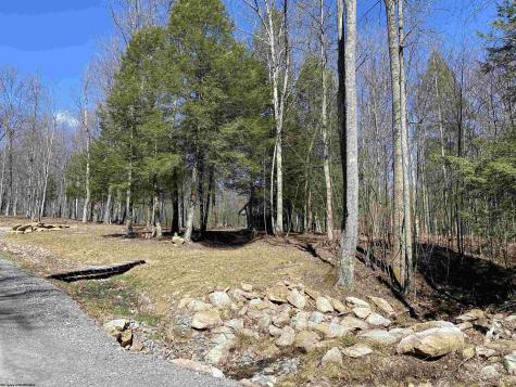 53 Riverstone Landing Bruceton Mills WV 26525