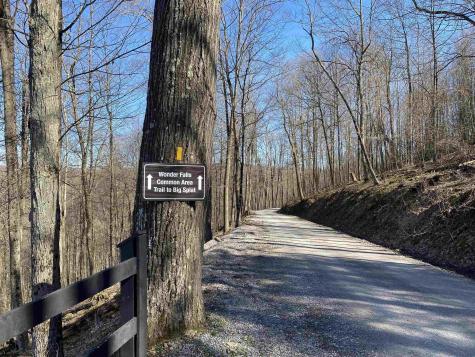 53 Riverstone Landing Bruceton Mills WV 26525
