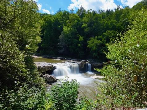 53 Riverstone Landing Bruceton Mills WV 26525