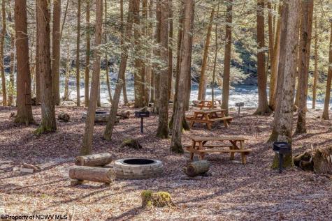53 Riverstone Landing Bruceton Mills WV 26525