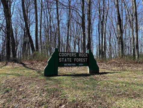 53 Riverstone Landing Bruceton Mills WV 26525