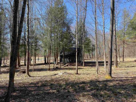 53 Riverstone Landing Bruceton Mills WV 26525