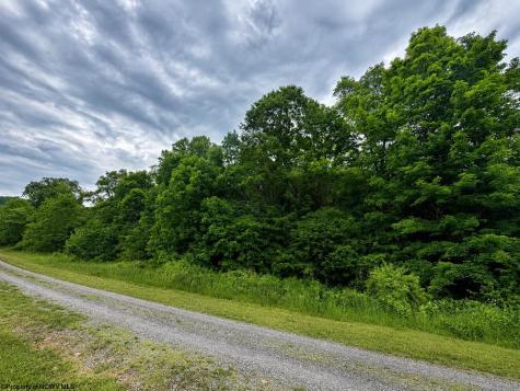 6 Iron Horse Lane Dryfork WV 26263