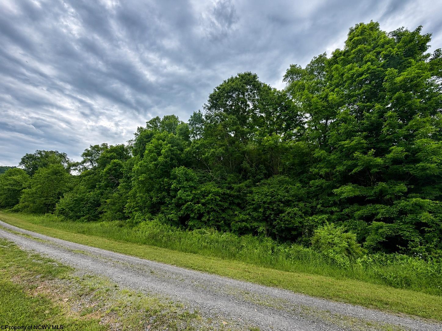 6 Iron Horse Lane Dryfork WV 26263