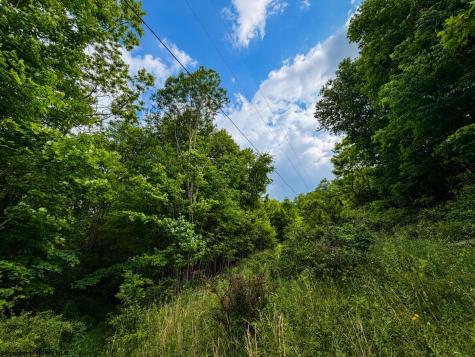 6 Iron Horse Lane Dryfork WV 26263