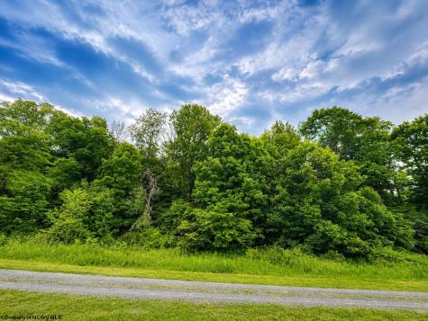 6 Iron Horse Lane Dryfork WV 26263