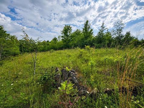 6 Iron Horse Lane Dryfork WV 26263