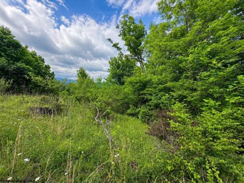 6 Iron Horse Lane Dryfork WV 26263