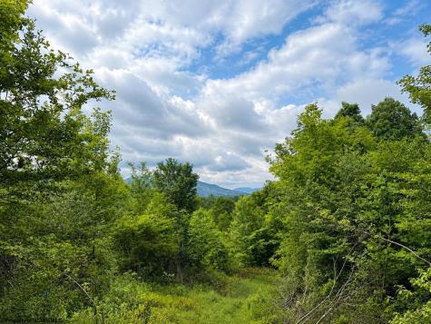 6 Iron Horse Lane Dryfork WV 26263