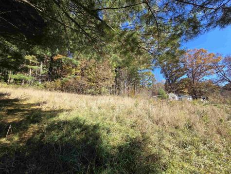 0 Route 219 Road Kerens WV 26276