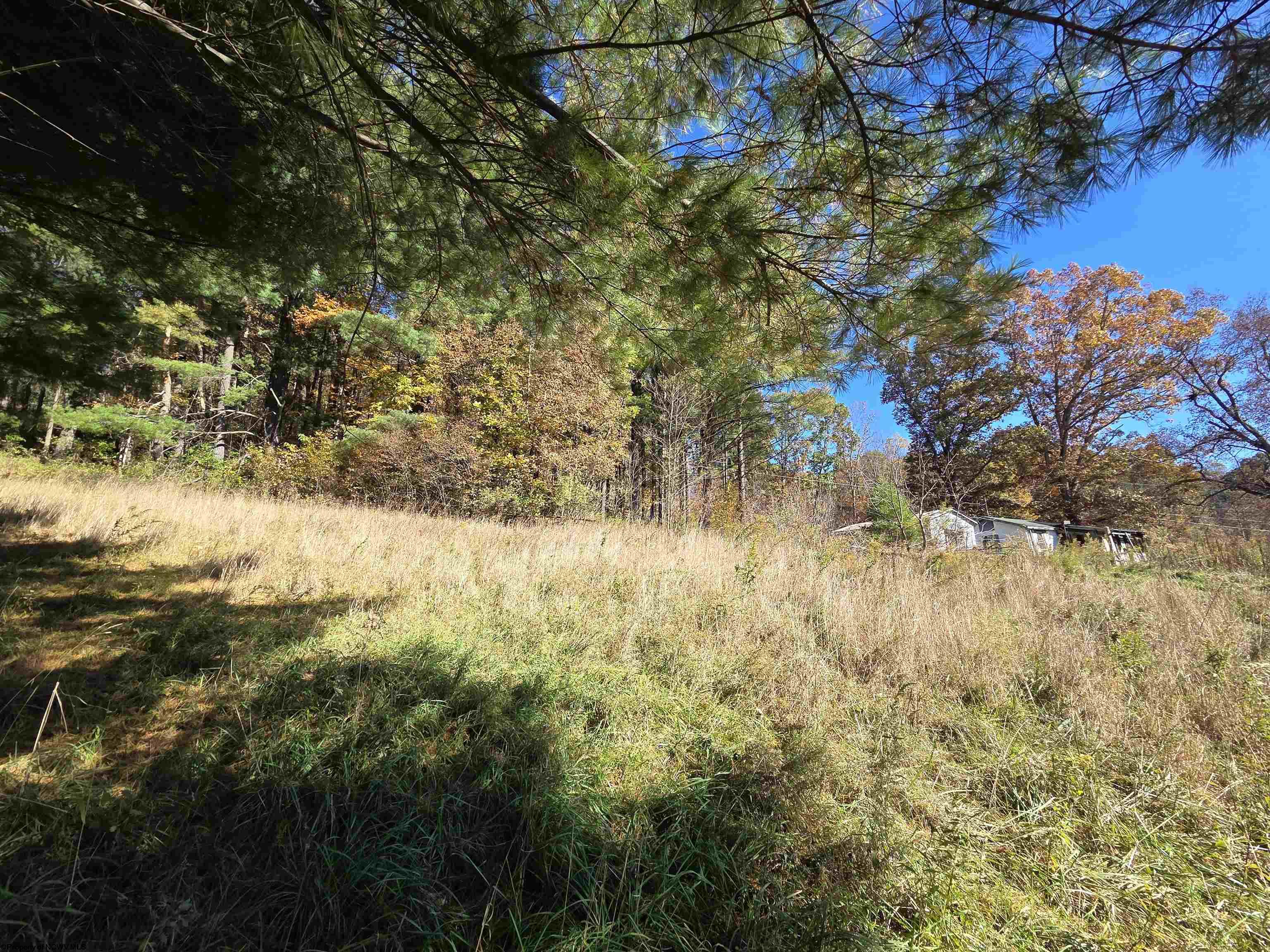 0 Route 219 Road Kerens WV 26276