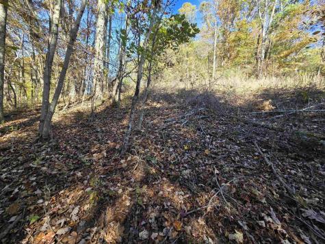0 Route 219 Road Kerens WV 26276
