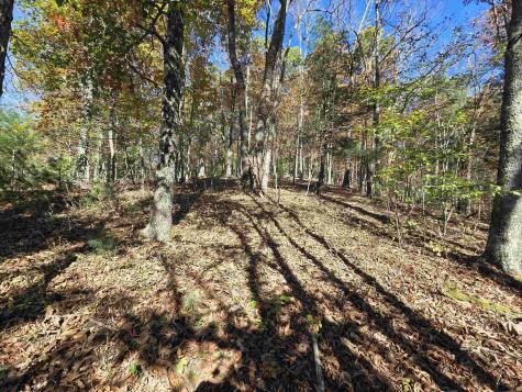0 Route 219 Road Kerens WV 26276